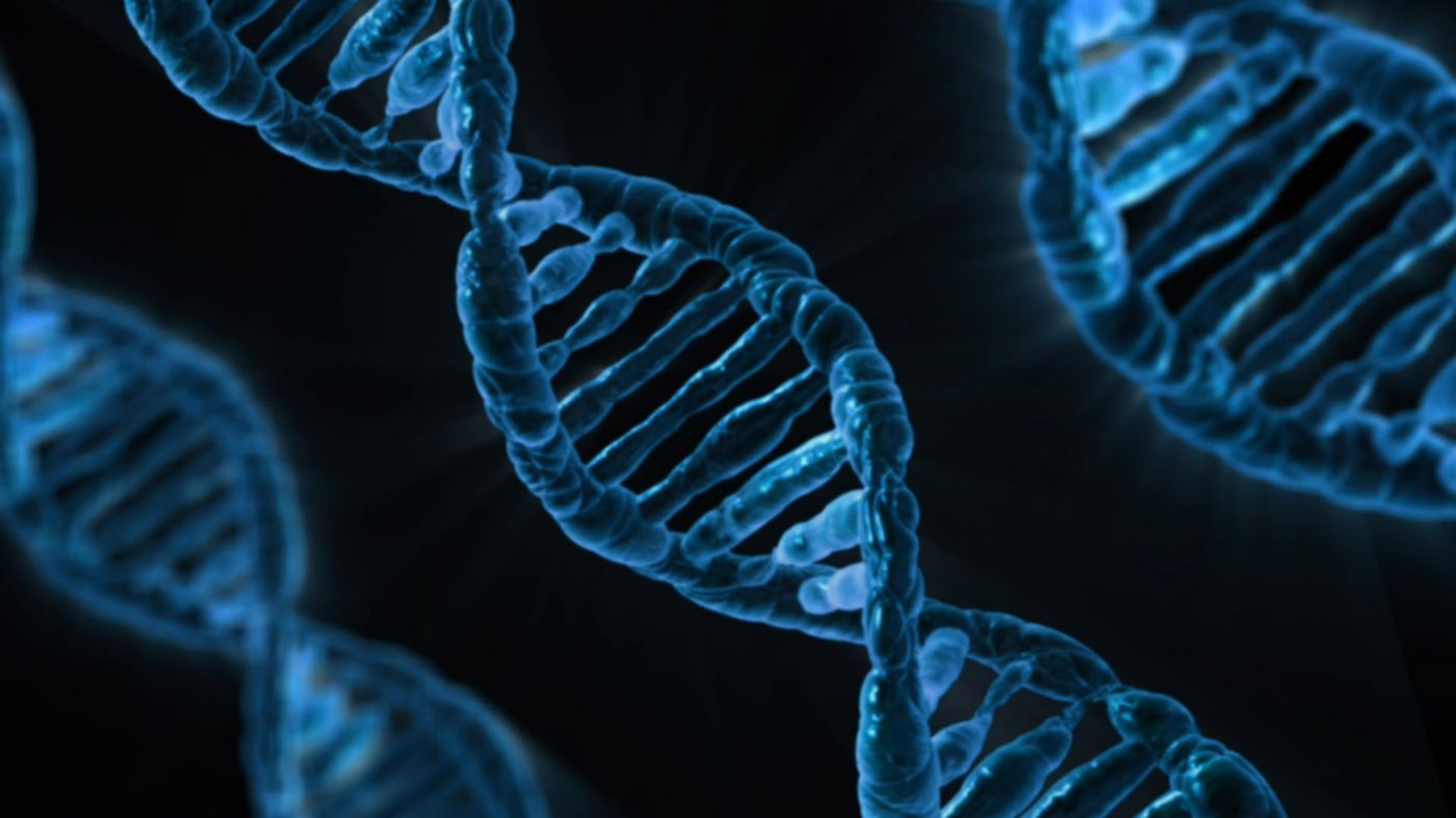 The double helix